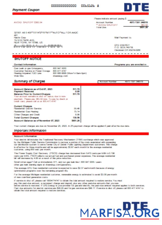 Printable Michigan DTE Energy utility business bill, Word and PDF template SCR